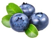 Antioxidant Bilberry Fruit Anthocyanin Extract Powder In Feed