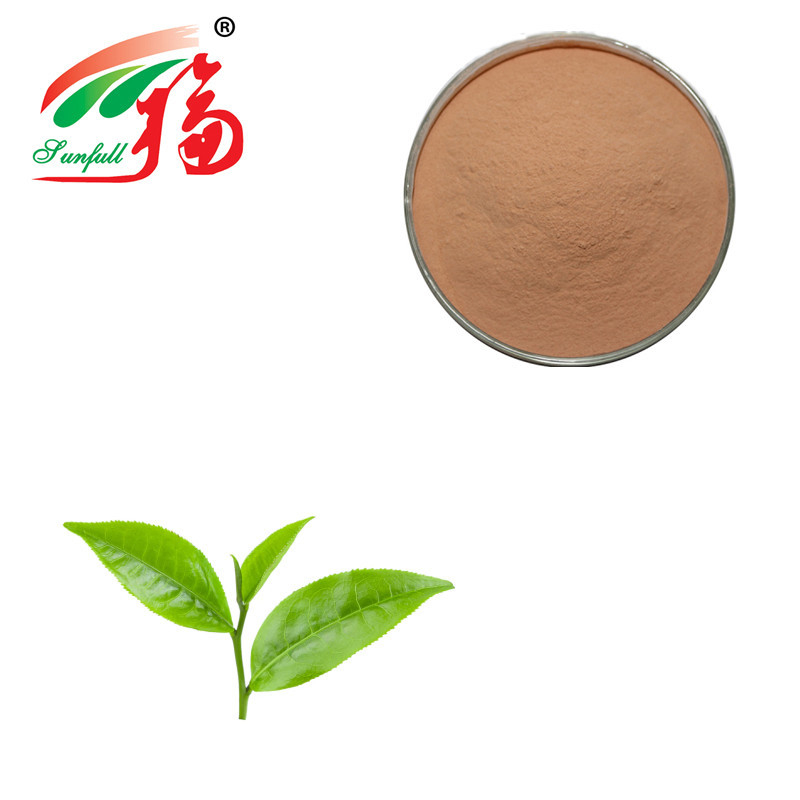 Green Tea Extract Powder 98% Polyphenols In Pharmaceutical
