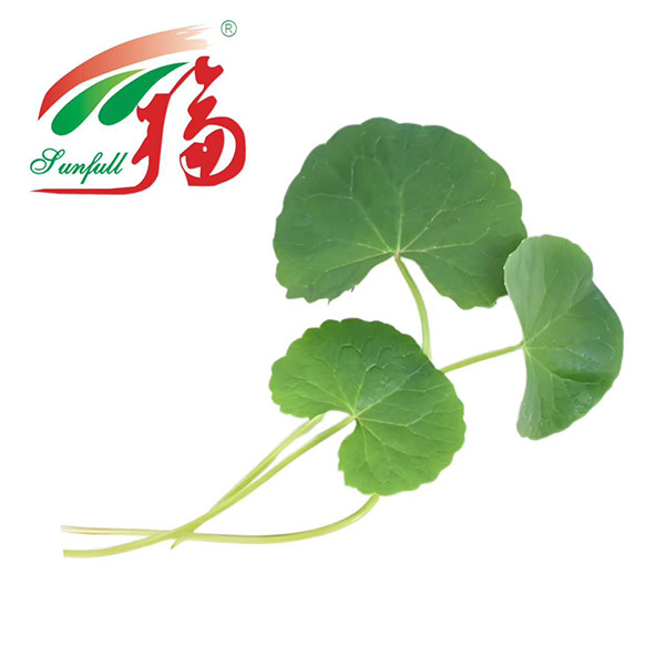 مستخلصات مستحضرات مستحضرات التجميل في Gotu Kola 80 ٪ من الآسيوية للعناية بالبشرة ， إصلاح الحاجز ومضاد الإشعاع-للجلد الحساس أو المعرضة لحب الشباب