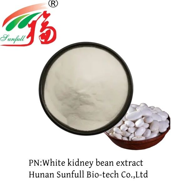 خلاصة الفاصوليا البيضاء الممتازة (Phaseolus Vulgaris) - نقاء عالي لمثبط إنزيم ألفا أميليز لإدارة الوزن وسكر الدم