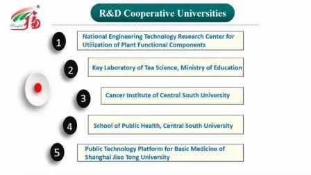 مسحوق استخراج Morchella Esculenta مع 100٪ من خلال 80 شبكة عمر عامين وقدرة إنتاجية 20 طن / سنة