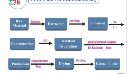 مسحوق مستخلص فطر الكورديسيبس سينينسيس مع 10% عديد السكاريد لمسحوق أصفر بني ناعم مضاد للالتهابات