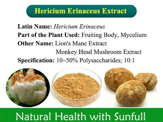Hericium Erinaceus Extract 50% Polysaccharides لمنتجات الرعاية الصحية وشفاء أمراض المعدة في مسحوق أصفر بني رفيع