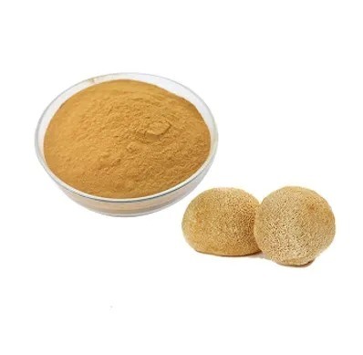 Hericium Erinaceus Extract 50% Polysaccharides لمنتجات الرعاية الصحية وشفاء أمراض المعدة في مسحوق أصفر بني رفيع