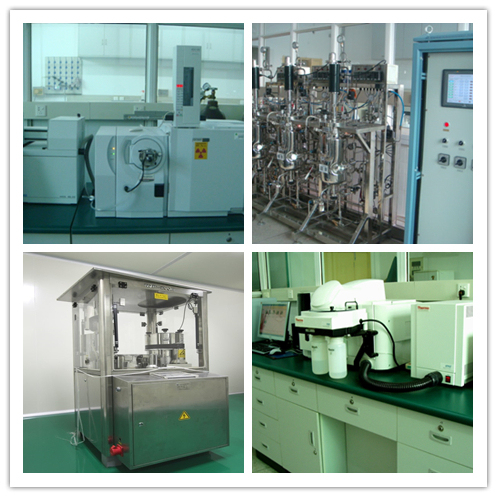 مسحوق استخراج Morchella Esculenta مع 100٪ من خلال 80 شبكة عمر عامين وقدرة إنتاجية 20 طن / سنة