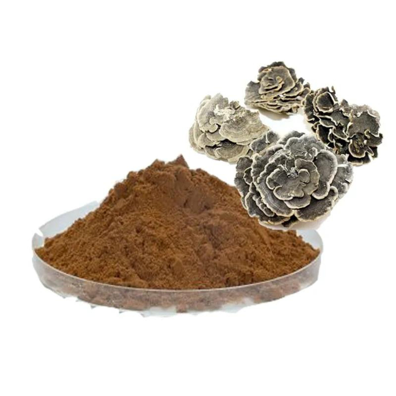 Coriolus Versicolor Extract 20% Polysaccharides للأغذية الوظيفية مع تنظيم السكر في الدم وخفض الخث