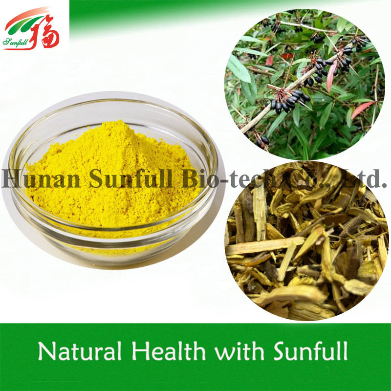 مستخلص مضاد للبكتيريا Berberine Hydrochloride مسحوق بلوري أصفر من نوع Berberis (Barberry) مع رقم CAS 633-65-8