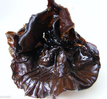 مستخلص الفطر الأسود 50% عديد السكاريد مسحوق درجة الغذاء للأغذية الوظيفية لتعزيز المناعة