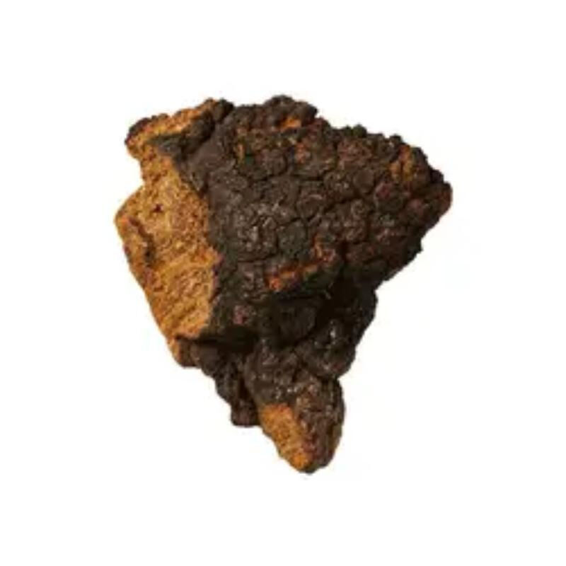 استخراج الشاجا 50% من البوليساكاريدات للأغذية الوظيفية لتعزيز المناعة كمسحوق مستخلص الفطر