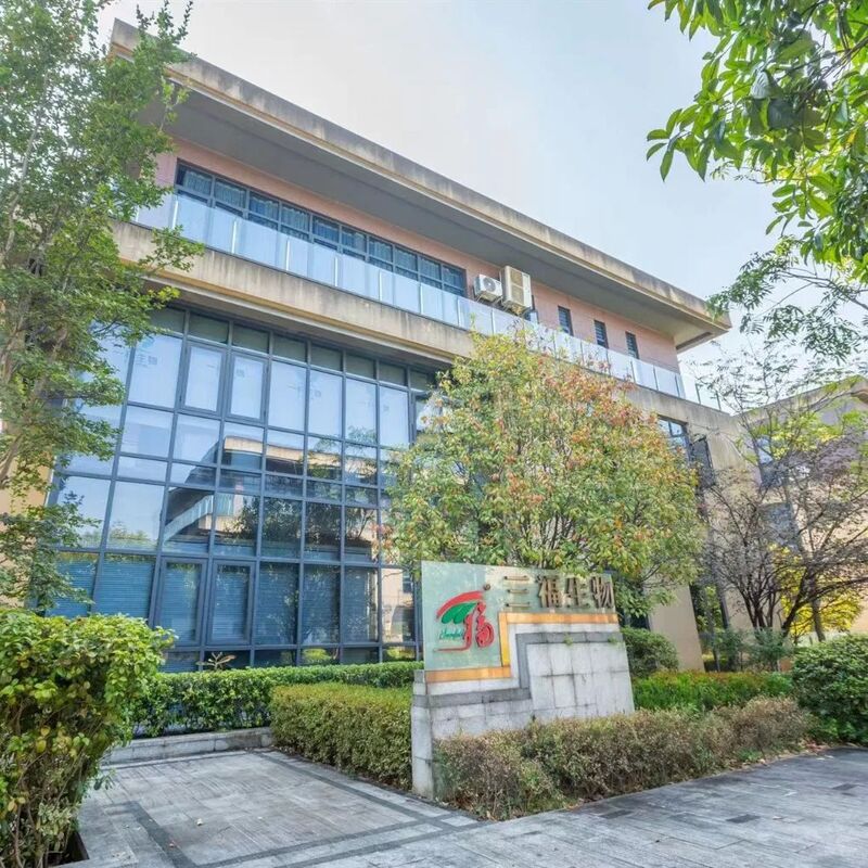 مسحوق مستخلص فطر المحار مع 10% عديد السكاريد للأغذية الوظيفية كمسحوق أصفر بني ناعم