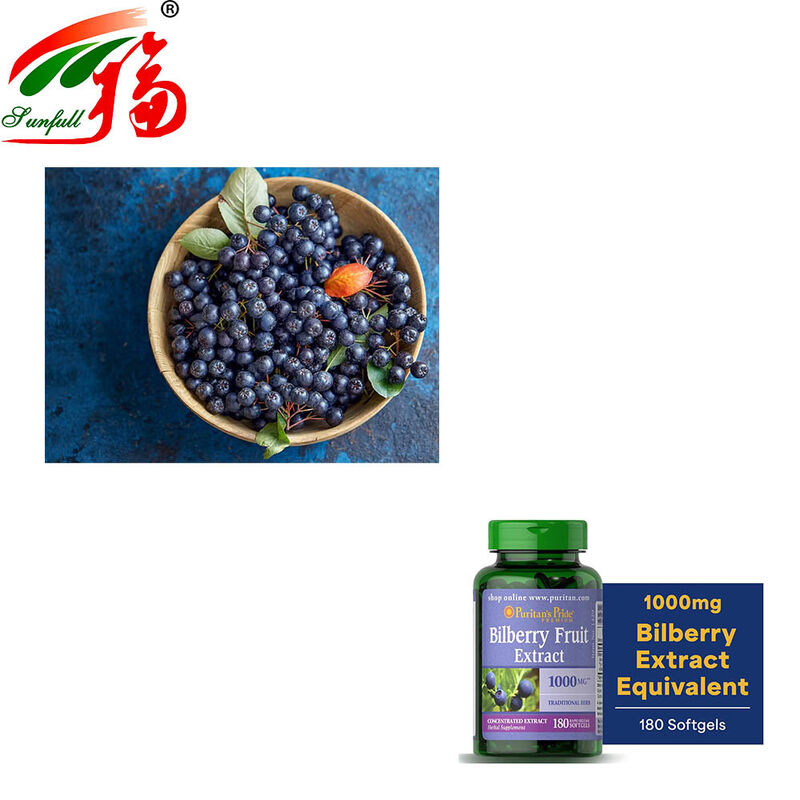 Factory Direct Sales Bilberry Extract 25% Anthocyanidins (UV-VIS) for Food and Health Supplements