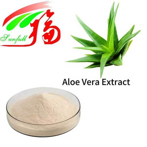Aloe Vera Extract Gel Freeze Dried Powder Bulk Pure Natural Aloe Vera Gel Spray Dried Powder Aloverose Aloin a+B Absorbancy