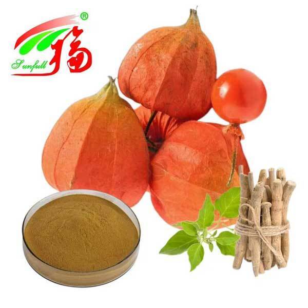 Withania Somnifera جنوب أفريقيا Withanolides 5٪ استخراج جذر أشواغاندا المنتجات الغذائية للعناية الصحية