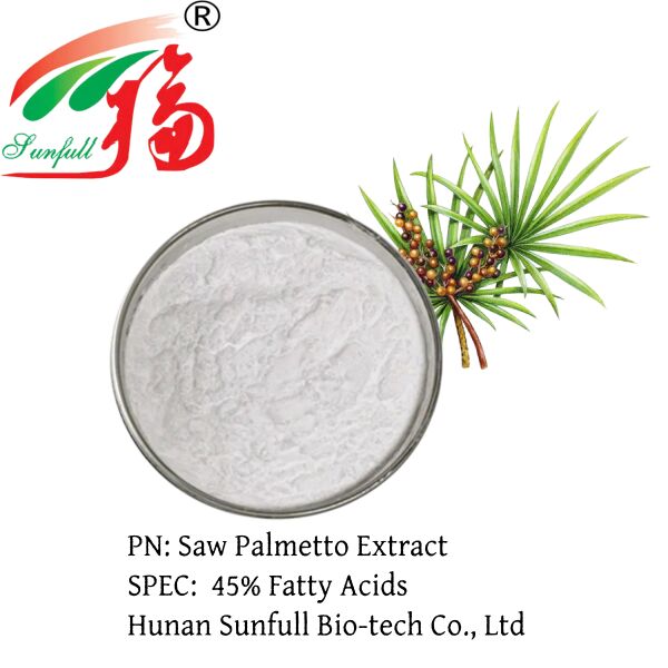 مستخلص البلميط المنشاري عالي الفعالية 45% أحماض دهنية (Serenoa Repens) - مركز ممتاز لصحة البروستاتا وتركيبات متقدمة