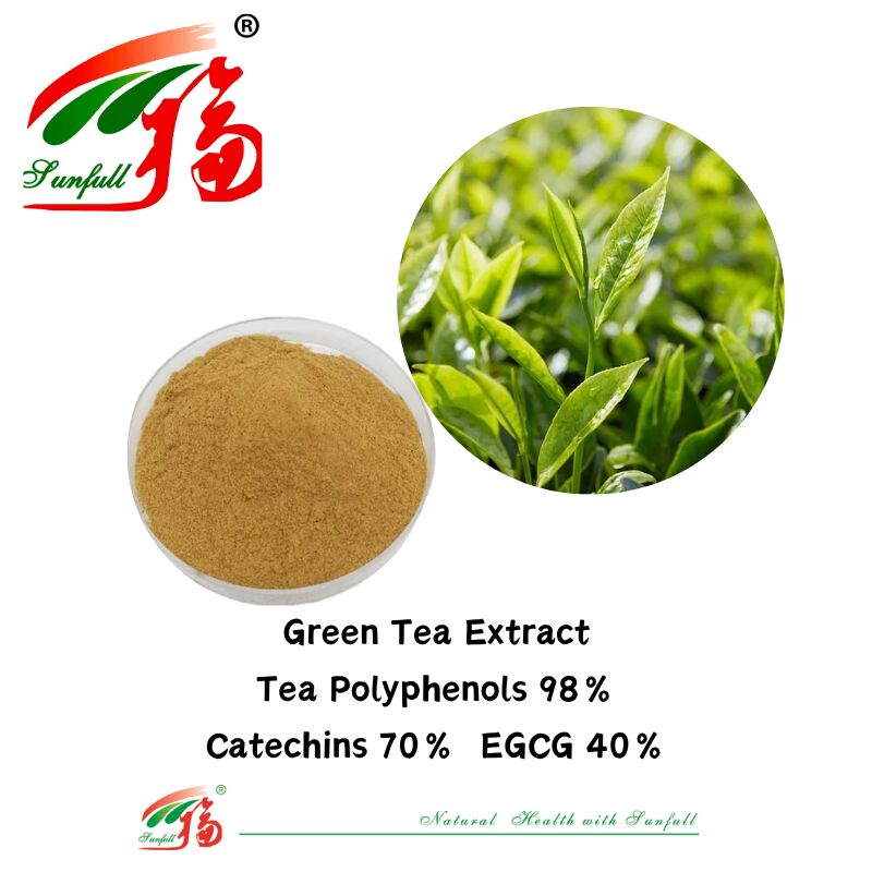 هونان صنفول المكونات العشبية العضوية الثيفلافين 10 ~ 40% EGCG 40% الكاتشينات 70% بوليفينول الشاي 98% مستخلص الشاي الأخضر
