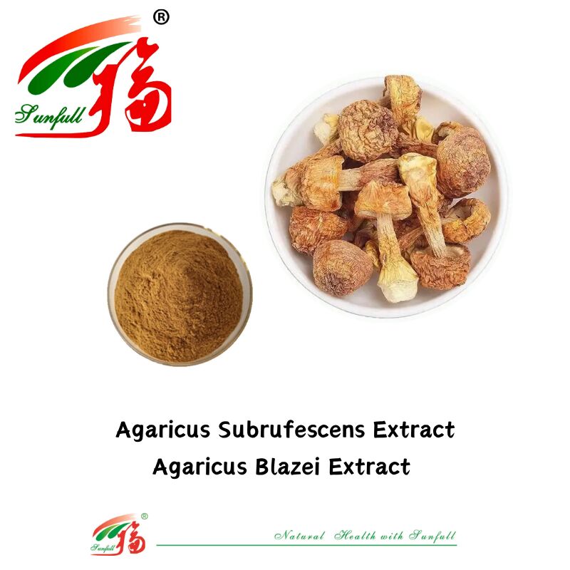 المكملات الغذائية لـ Hunan Sunfull Agaricus Subrufescens/Hericium Erinaceus/Antrodia/Cordyceps Sinensis/Coriolus Versicolor/مستخلص الفطر المسحوق
