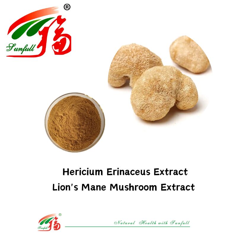المكملات الغذائية لـ Hunan Sunfull Agaricus Subrufescens/Hericium Erinaceus/Antrodia/Cordyceps Sinensis/Coriolus Versicolor/مستخلص الفطر المسحوق