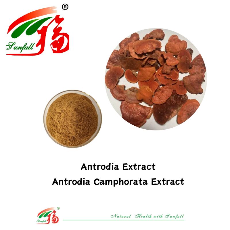 المكملات الغذائية لـ Hunan Sunfull Agaricus Subrufescens/Hericium Erinaceus/Antrodia/Cordyceps Sinensis/Coriolus Versicolor/مستخلص الفطر المسحوق