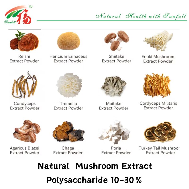 المكونات الطبيعية العضوية المكملات الغذائية البوليساكاريد 10-30٪ Phellinus Igniarius / Ganoderma Lucidum / Chaga / Maitake / Shiitake الفطر المستخلص مسحوق