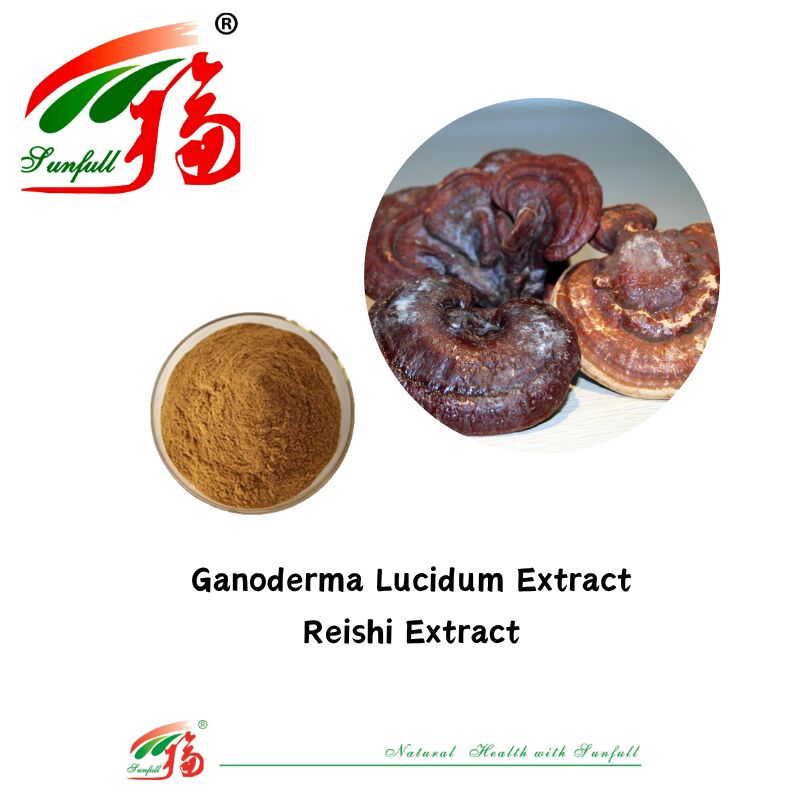 المكونات الطبيعية العضوية المكملات الغذائية البوليساكاريد 10-30٪ Phellinus Igniarius / Ganoderma Lucidum / Chaga / Maitake / Shiitake الفطر المستخلص مسحوق
