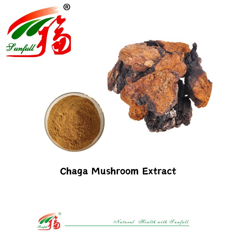 المكونات الطبيعية العضوية المكملات الغذائية البوليساكاريد 10-30٪ Phellinus Igniarius / Ganoderma Lucidum / Chaga / Maitake / Shiitake الفطر المستخلص مسحوق