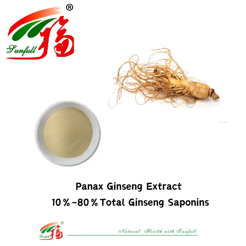 عينة مجانية من مصنع Sunfull للطب الصيني التقليدي HPLC العضوي 10% 80% جينسينوسيدس الجينسنغ الأمريكي/مستخلص الجينسنغ الكوري/مستخلص باناكس الجينسنغ