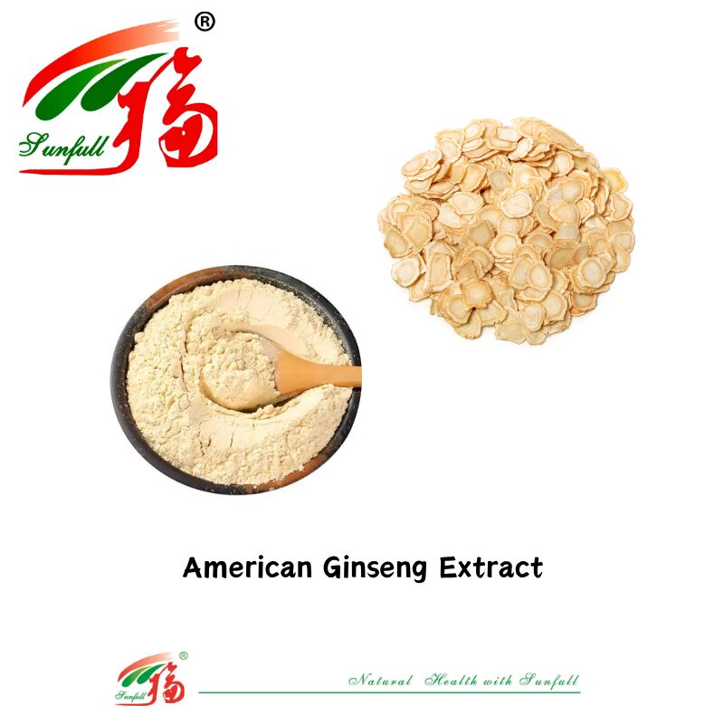 عينة مجانية من مصنع Sunfull للطب الصيني التقليدي HPLC العضوي 10% 80% جينسينوسيدس الجينسنغ الأمريكي/مستخلص الجينسنغ الكوري/مستخلص باناكس الجينسنغ
