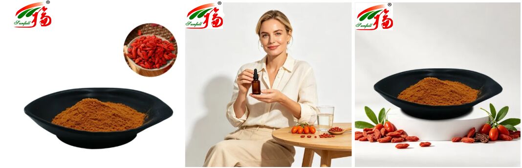 المكملات الغذائية الصينية الطبيعية الأنثوسيانين 1-25% البوليساكاريد 10-50% الليسيوم برباروم استخراج Wolfberry استخراج / استخراج Goji Berry