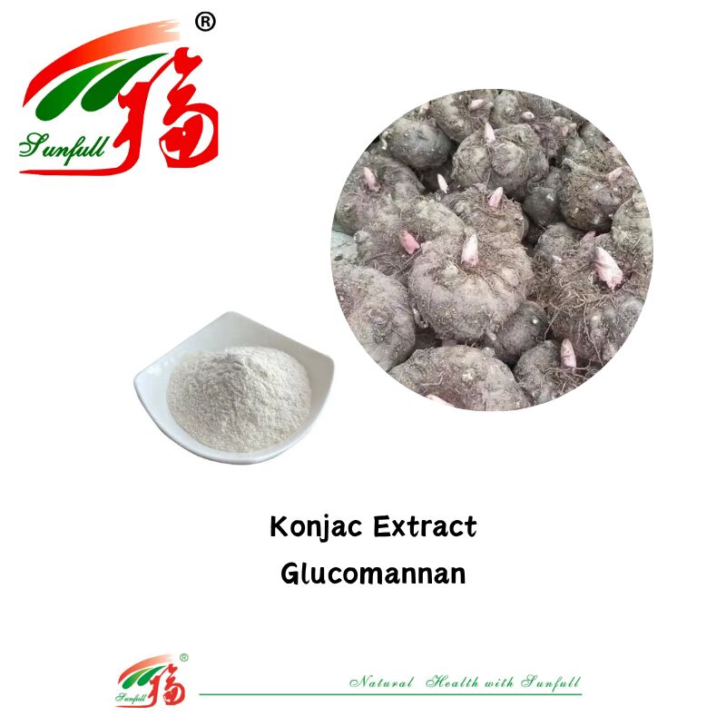 المكملات الغذائية الطبيعية عالية الجودة Konjca استخراج الجلوكمانان 85% كبد أبيض استخراج الفاصولياء مسحوق لدعم فقدان الوزن