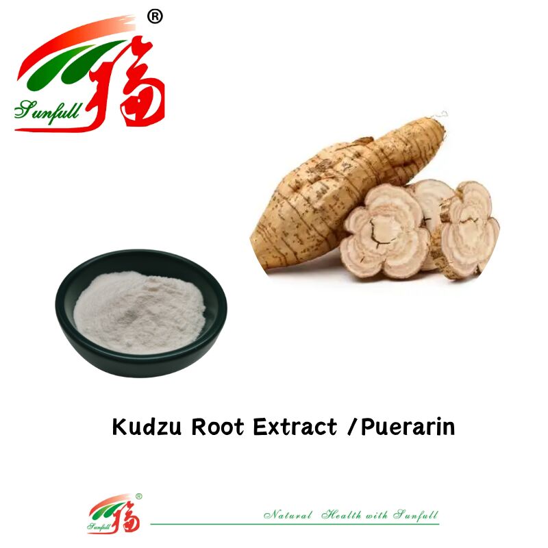 عينة مجانية مستخلص جذر الكودزو عالي الجودة Pueraria Lobata Extract Puerarin 10%-98% CAS 3681-99-0