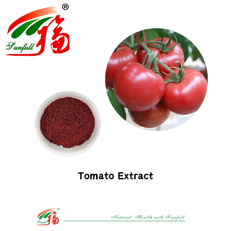 الغذاء الصحي الغذاء الصف CAS 502-65-8 أسعار الجملة أصباغ طبيعية مستخلص الطماطم 1٪ -10٪ مسحوق الليكوبين