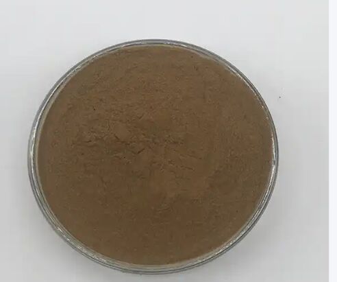 إيزو / كوشير يعزز الهضم الصف الغذائي كاسيا بذور استخراج 10: 1 / 20٪ HPLC Sennosides استخراج أوراق السينا