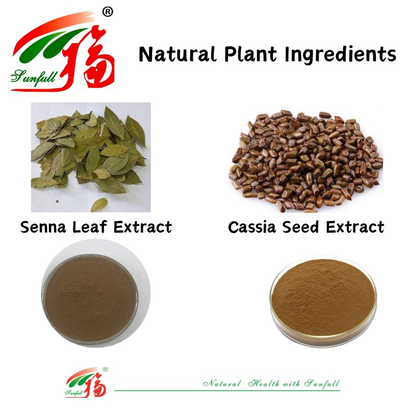 إيزو / كوشير يعزز الهضم الصف الغذائي كاسيا بذور استخراج 10: 1 / 20٪ HPLC Sennosides استخراج أوراق السينا