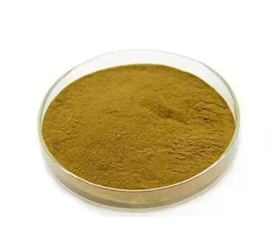 الصف الغذائي / الصف الغذائي المكملات الغذائية إستخراج Eucommia Ulmoides / استخراج حبوب القهوة الخضراء حمض الكلوروجين 5% - 98%