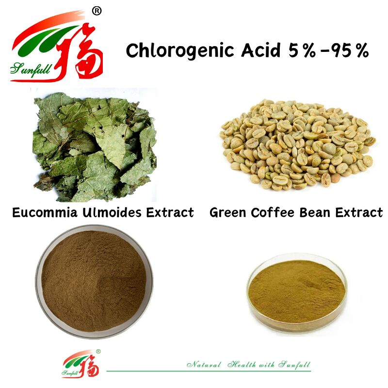 الصف الغذائي / الصف الغذائي المكملات الغذائية إستخراج Eucommia Ulmoides / استخراج حبوب القهوة الخضراء حمض الكلوروجين 5% - 98%