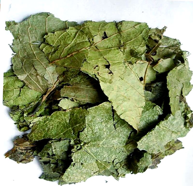 الصف الغذائي / الصف الغذائي المكملات الغذائية إستخراج Eucommia Ulmoides / استخراج حبوب القهوة الخضراء حمض الكلوروجين 5% - 98%