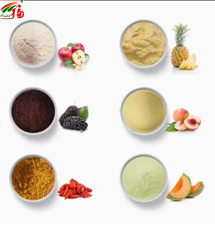 مكونات الفاكهة، الغذاء الصحي، جودة عالية، نكهة جيدة وقابلية للذوبان في الماء، المشروبات، مسحوق مجفف بالتجميد، مسحوق فواكه متنوع