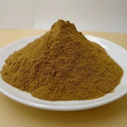 سعر المصنع عالي الجودة مستخلص جذر Ruscus Aculeatus 10%-20% مستخلص مكنسة الجزار روسكوجينين