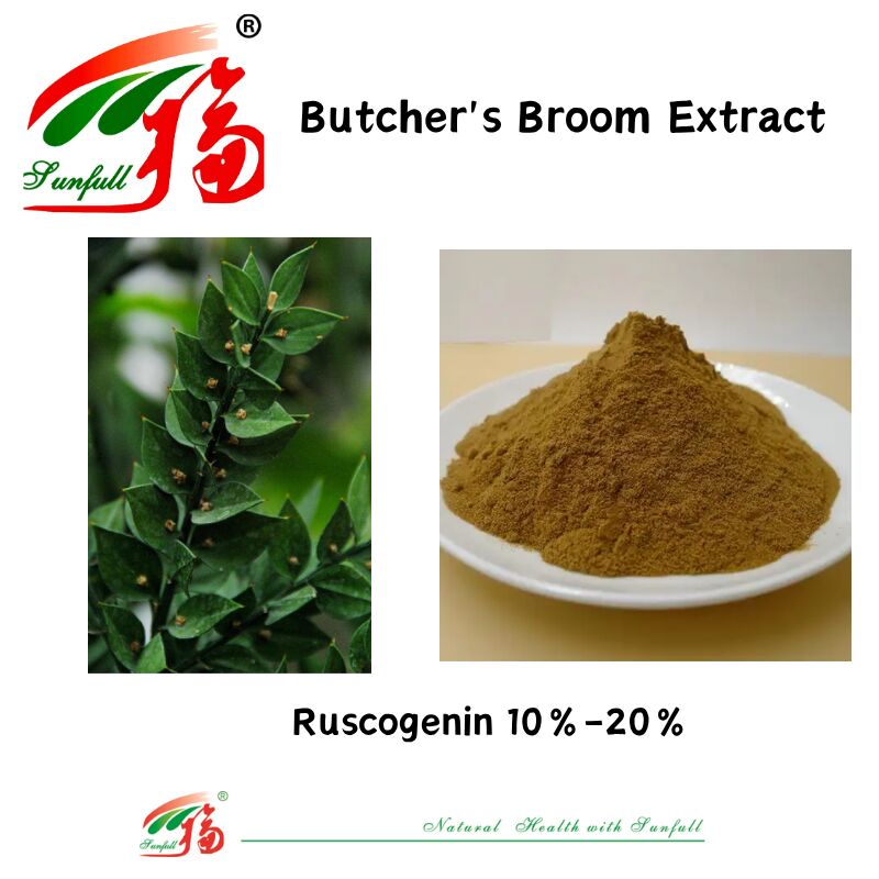 سعر المصنع عالي الجودة مستخلص جذر Ruscus Aculeatus 10%-20% مستخلص مكنسة الجزار روسكوجينين