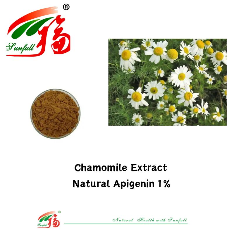 مستخلص بذور الكرفس الطبيعية بنسبة 100% 98% مسحوق أبيجينين CAS 520-36-5 مستخلص أبيجينين عالي الجودة بنسبة 1% من البابونج