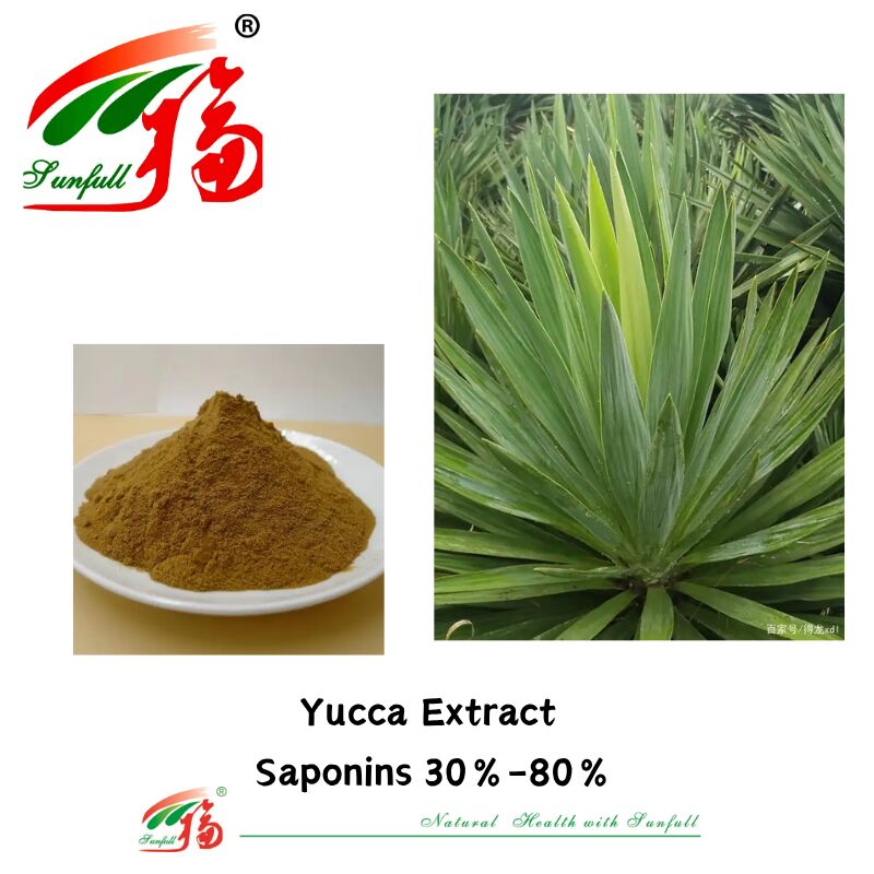 مزيل الروائح ISO/Kosher تعزز صحة الأمعاء مكونات طعام الحيوانات الأليفة 10%-80% سابونينات مستخلص يوكا