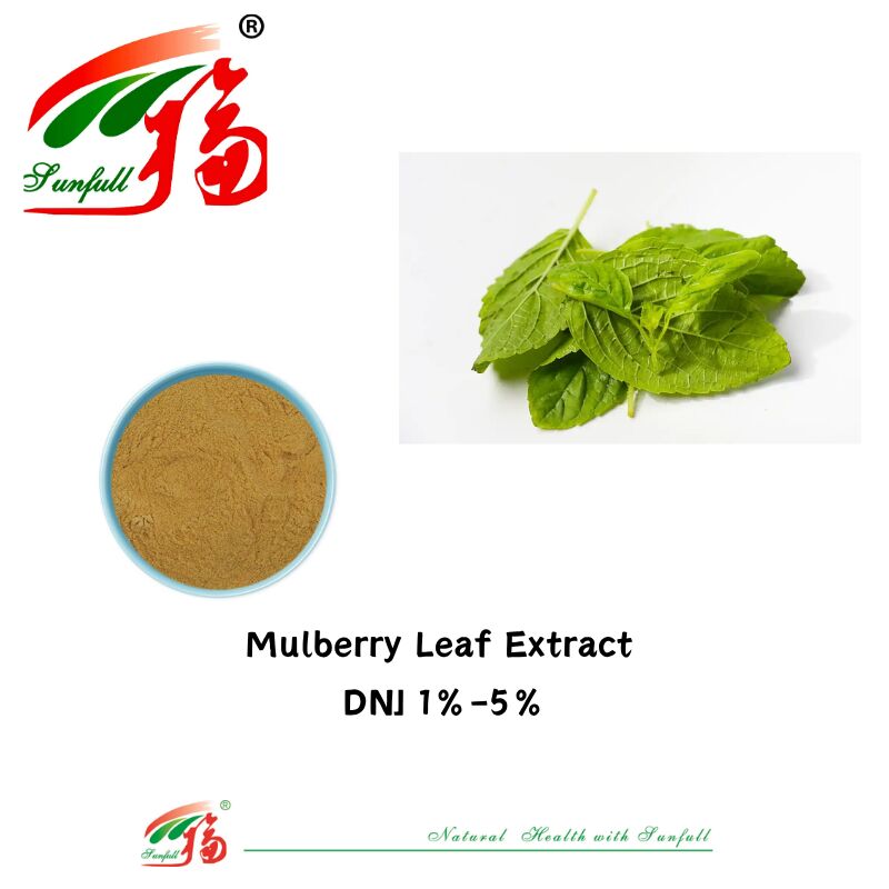 عينة مجانية من المواد الغذائية 1%-5% HPLC Deoxynojirimycin Dnj مسحوق السكريات مستخلص أوراق التوت مسحوق مضاد للأكسدة مضاد للشيخوخة لتركيبات مستحضرات التجميل