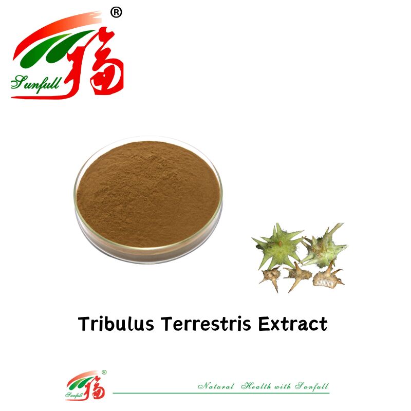 الصين مصنع بيع ساخن الرجل الصحة الصف الغذائي استخراج الـ Tribulus عينة مجانية استخراج الـ Tribulus Terrestris مسحوق 40٪ - 90٪ السابونين