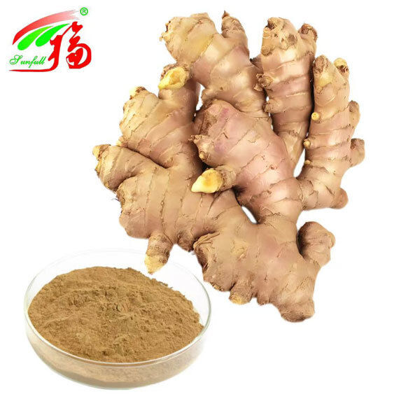 استخراج الزنجبيل استخراج جذور الزنجبيل الزنجبيل 10٪ 5٪ 1٪ الراحة الهضمية دعم التنفس والتنقل المشترك