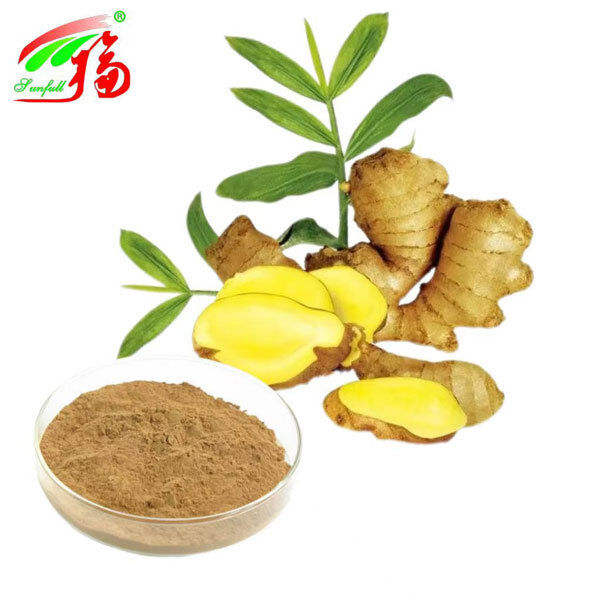 استخراج الزنجبيل استخراج جذور الزنجبيل الزنجبيل 10٪ 5٪ 1٪ الراحة الهضمية دعم التنفس والتنقل المشترك