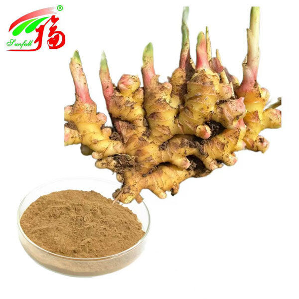 استخراج الزنجبيل استخراج جذور الزنجبيل الزنجبيل 10٪ 5٪ 1٪ الراحة الهضمية دعم التنفس والتنقل المشترك