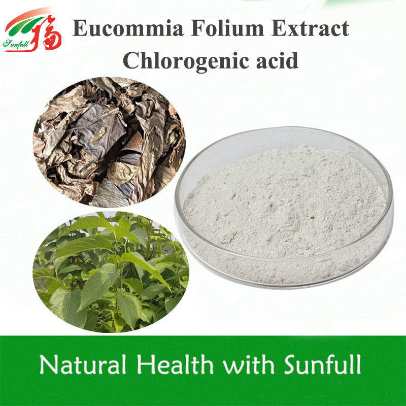 High-Purity Eucommia Ulmoides Leaf Extract Chlorogenic Acid | 5%-99% Specifications in Stock | Natural Antioxidant