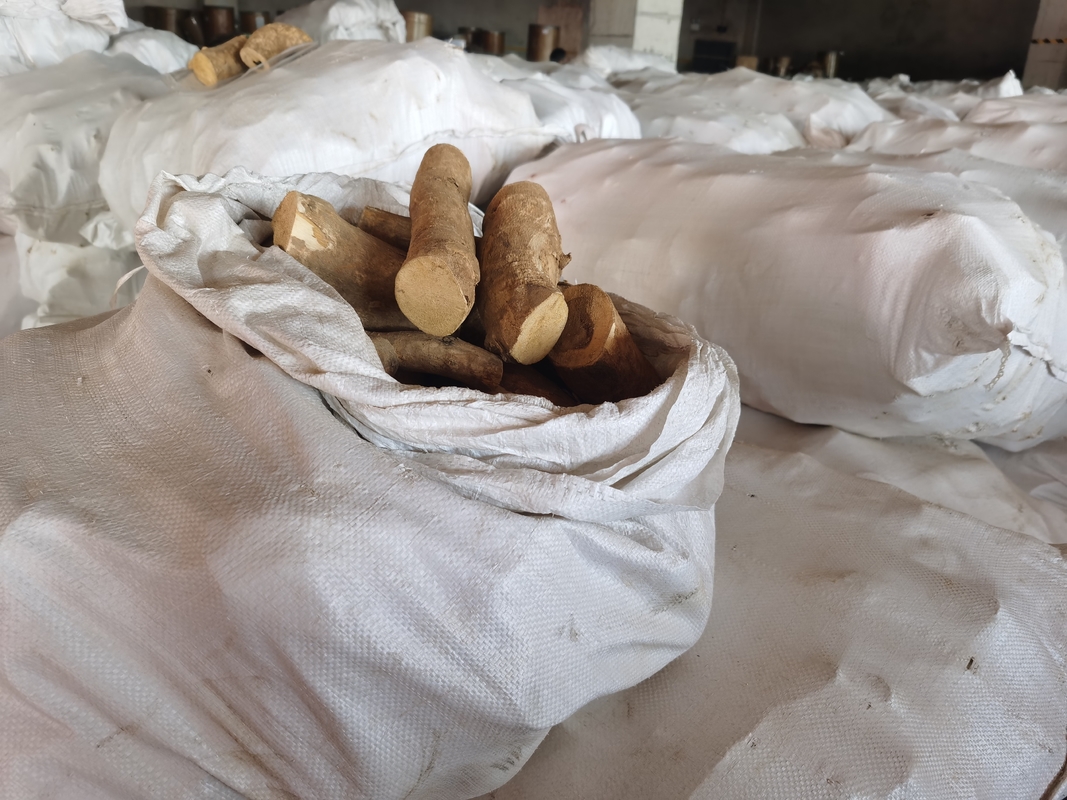 0.5٪ Eurycomanone Extract Eurycoma longifolia Root Extract Powder للنشاط المضاد للحرارة