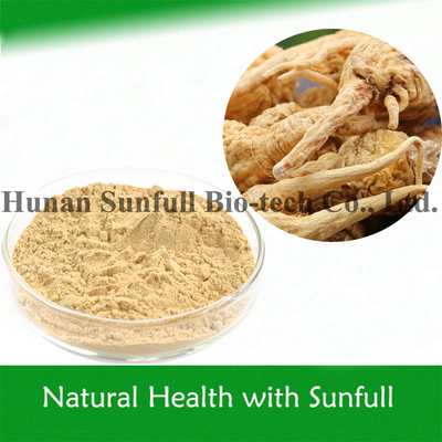 الرجال الصحة النباتية الغذاء استخراج ماكا للتغذية (Lepidium meyenii Walp)