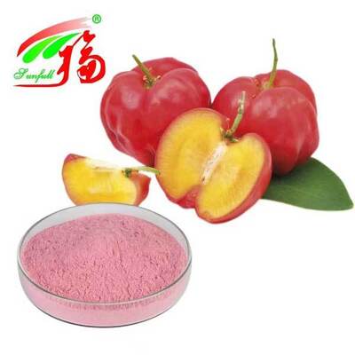 Acerola Cherry Extract Vitamin C 17% 25% Malpighia Emarginata Natural Vc Powder